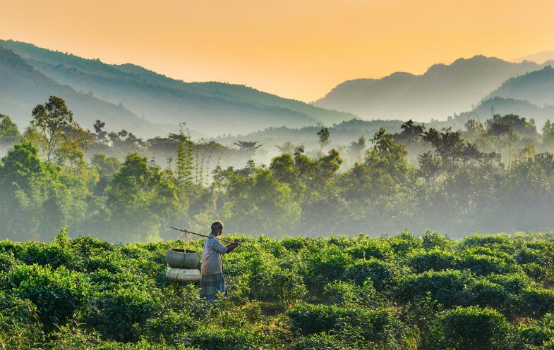 Jaflong, Sylhet, Sylhet Division, Bangladesh